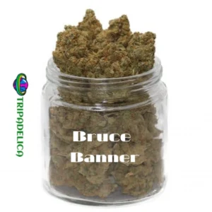 Bruce Banner Weed