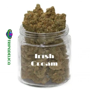 Irish Cream Weed